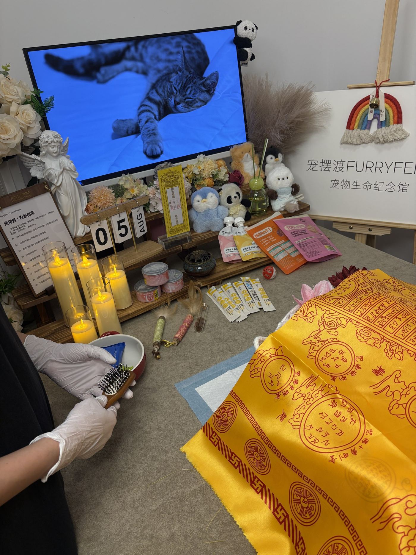 上门接回说明