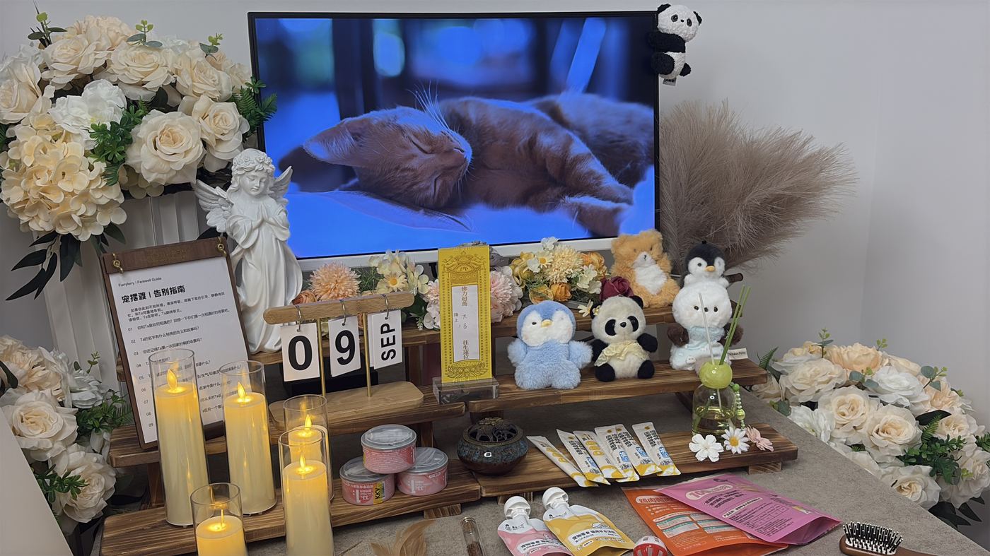 三、几个实操提醒